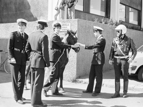 Lögreglumenn handsama hest fyrir utan Stúdentaheimilið við Hringbraut árið 1981